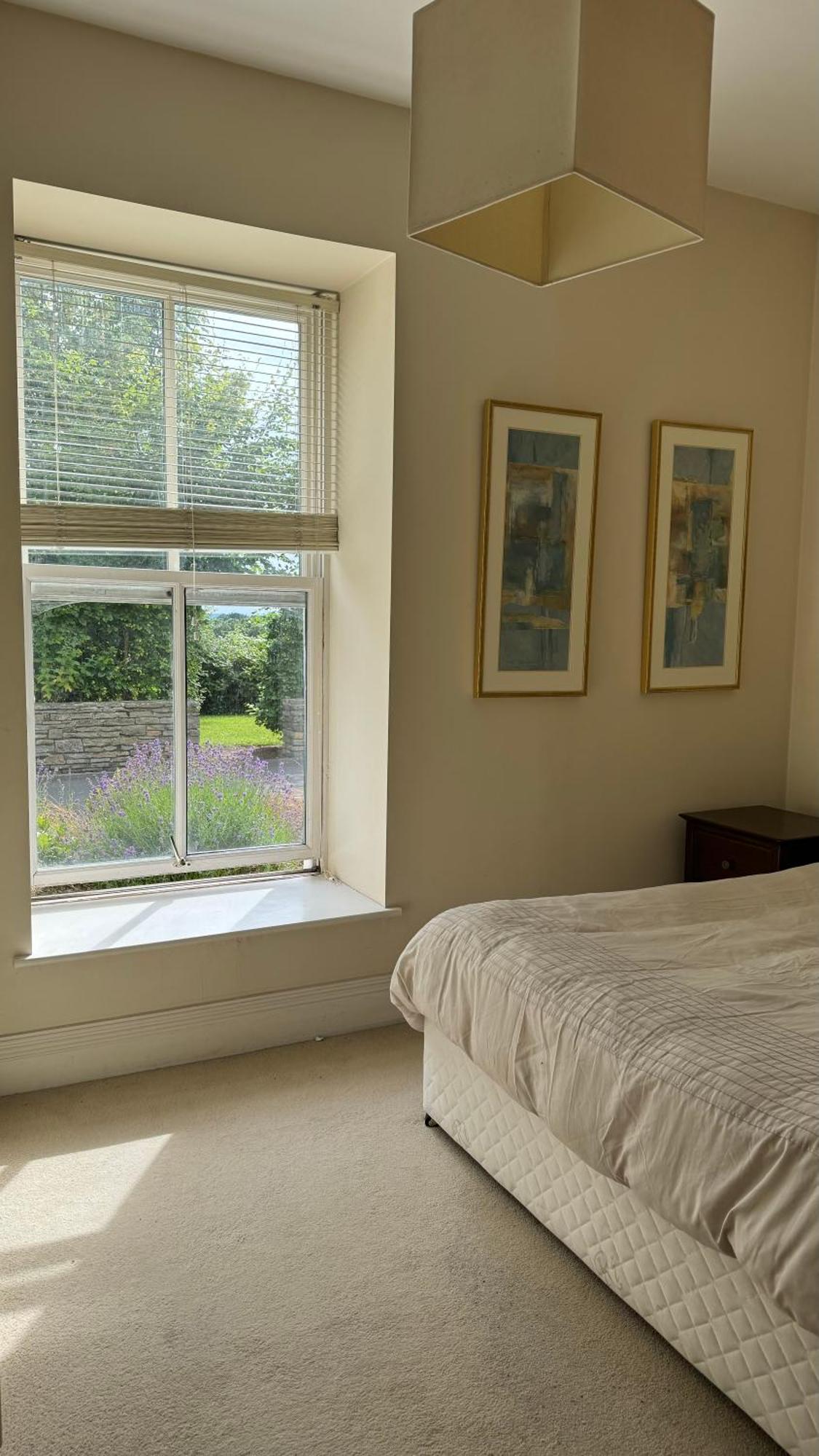 Room With Private Bathroom Near The Center Cork Bagian luar foto